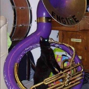 Meet your Posher, Lia